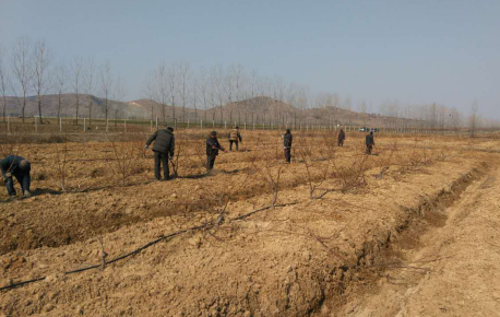 1623161885896429.png 1623161885896429.png