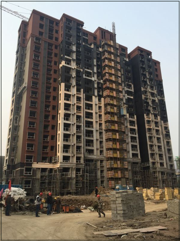 1623288286896187.jpg 455-2.jpg